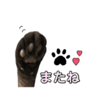 みみ♡ちょこ①（個別スタンプ：31）