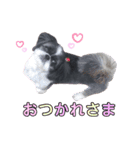 みみ♡ちょこ①（個別スタンプ：33）