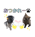 みみ♡ちょこ①（個別スタンプ：34）