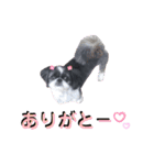 みみ♡ちょこ①（個別スタンプ：35）