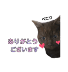 みみ♡ちょこ①（個別スタンプ：36）