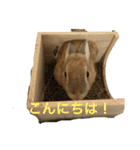 うさぎのゆにちゃん（個別スタンプ：8）