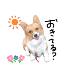 ちゃこシリーズ.（個別スタンプ：6）