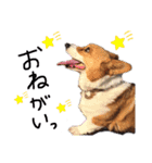 ちゃこシリーズ.（個別スタンプ：10）