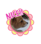 ちゃこシリーズ.（個別スタンプ：24）