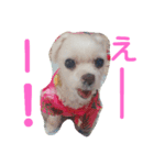 ワンの気持ち♪ 2（個別スタンプ：4）
