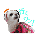 ワンの気持ち♪ 2（個別スタンプ：7）