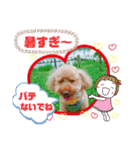 トイプーのげんちゃん 7月その2（個別スタンプ：2）