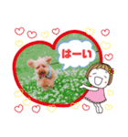 トイプーのげんちゃん 7月その2（個別スタンプ：5）