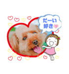 トイプーのげんちゃん 7月その2（個別スタンプ：16）