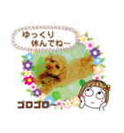 トイプーのげんちゃん 7月その2（個別スタンプ：18）