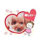 トイプーのげんちゃん 7月その2（個別スタンプ：22）