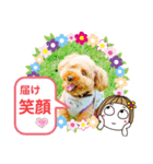トイプーのげんちゃん 7月その2（個別スタンプ：30）