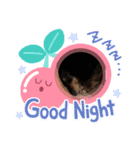 ダックスcuteな日常（個別スタンプ：1）