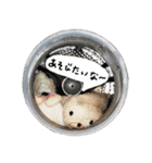 つきしま家（個別スタンプ：3）