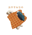 つきしま家（個別スタンプ：5）