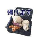 つきしま家（個別スタンプ：9）