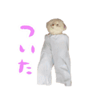 つきしま家（個別スタンプ：10）