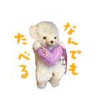つきしま家（個別スタンプ：16）