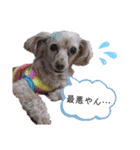 ココの呟き（個別スタンプ：1）