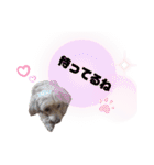 ココの呟き（個別スタンプ：2）