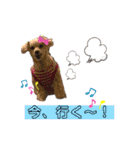 ココの呟き（個別スタンプ：4）