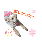 ココの呟き（個別スタンプ：9）