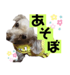 ココの呟き（個別スタンプ：10）