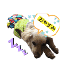 ココの呟き（個別スタンプ：13）