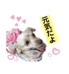 ココの呟き（個別スタンプ：17）