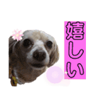 ココの呟き（個別スタンプ：19）