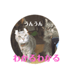トマロビーのソバで#1（個別スタンプ：1）