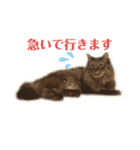 トマロビーのソバで#1（個別スタンプ：4）
