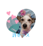 トマロビーのソバで#1（個別スタンプ：5）