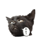 ウパ・ルパオX（個別スタンプ：1）