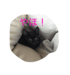 ウパ・ルパオX（個別スタンプ：3）