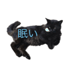ウパ・ルパオX（個別スタンプ：6）