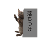 ウパ・ルパオX（個別スタンプ：7）