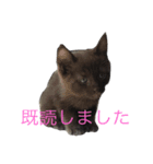 ウパ・ルパオX（個別スタンプ：8）