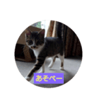 どんぐりゃーらいふ2（個別スタンプ：2）