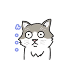 美猫モカちゃんスタンプ（個別スタンプ：5）