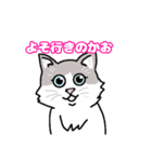 美猫モカちゃんスタンプ（個別スタンプ：8）