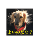 チーコチーコ N°1（個別スタンプ：3）