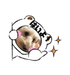 ムタさん2（個別スタンプ：5）