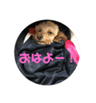 ムタさん2（個別スタンプ：12）