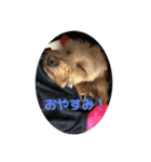 ムタさん2（個別スタンプ：13）