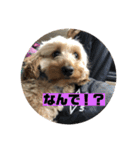 ムタさん2（個別スタンプ：20）