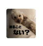 ムタさん2（個別スタンプ：23）