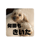 ムタさん2（個別スタンプ：24）