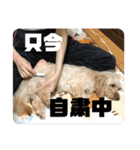 ムタさん2（個別スタンプ：27）